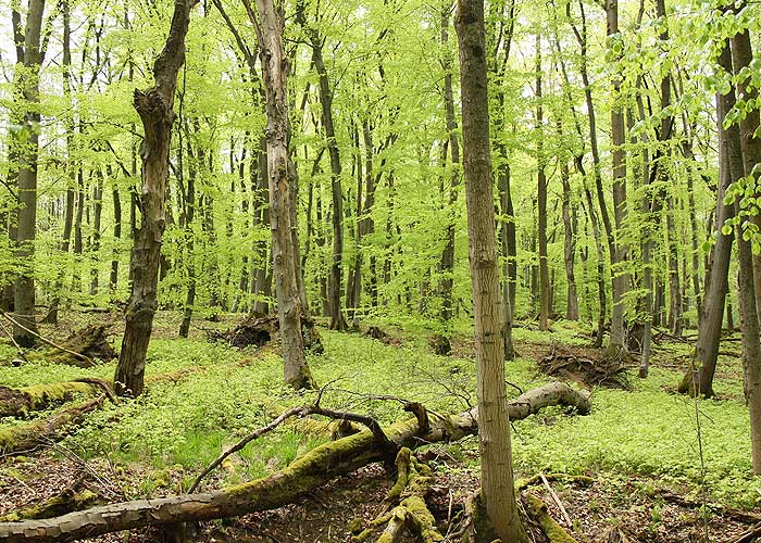 Biosphärenreservat Bliesgau